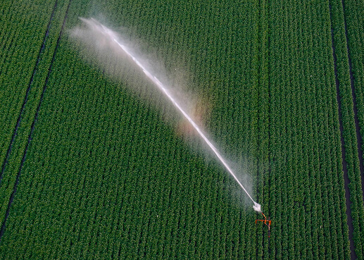 Sustainable Irrigation