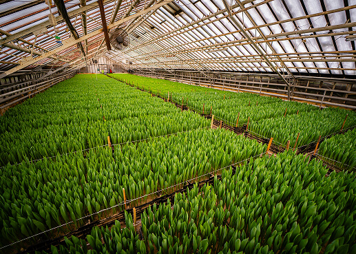 Biodiversity Protection