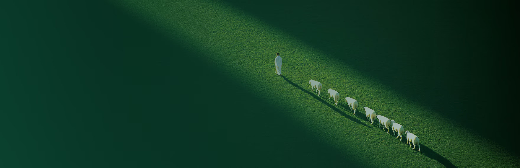 Growing the world’s food supply