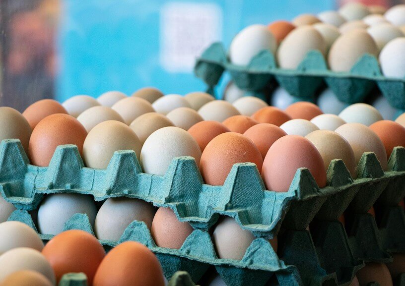 Free Range Eggs