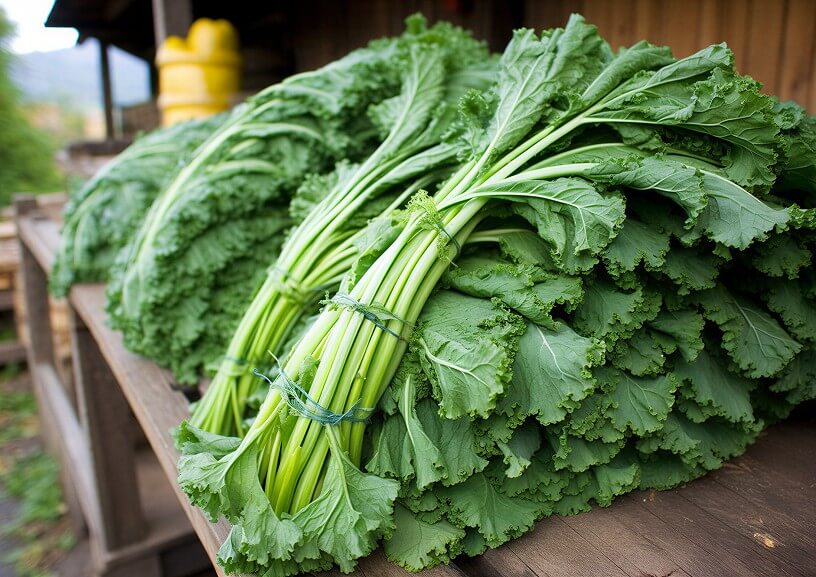 Fresh Kale Leaves